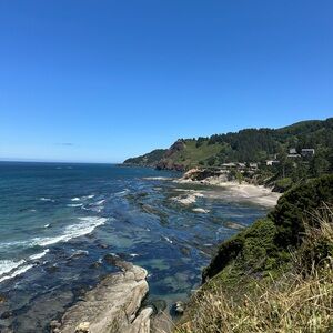 Meet your Posher, Violet